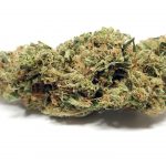 Buy Budpop's best delta 8 products