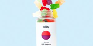 Delta 8 Gummies: Getting a Grip on the Goodness