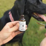 full spectrum cbd oil for pets