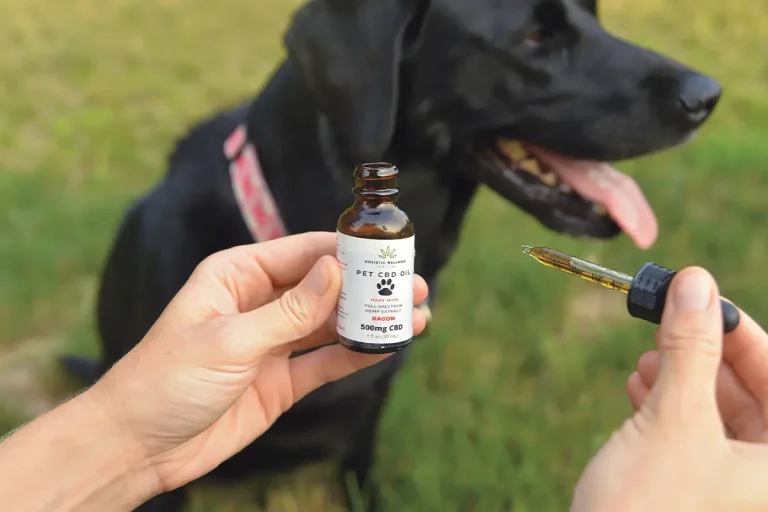 full spectrum cbd oil for pets